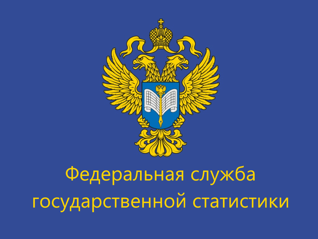 Федеральная служба государственной статистики