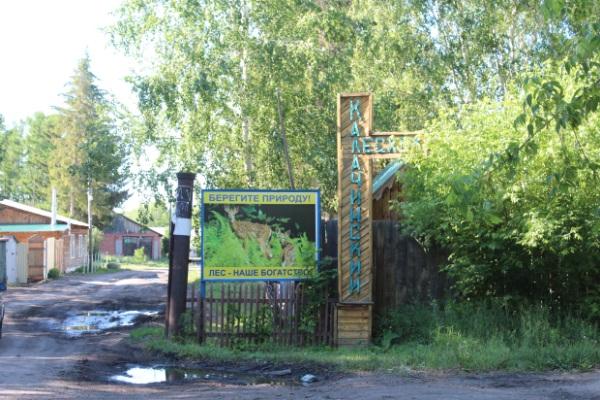 Отдел Калачинского лесничества (Лесхоз)