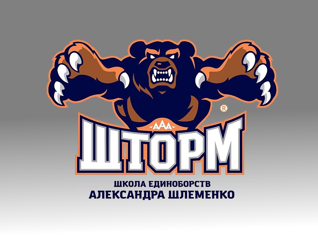 Филиал авторской школы единоборств «Шторм» А.П. Шлеменко